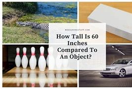 Image result for How Long Is 60 X 102 Inches