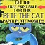 Image result for Pete the Cat Craft Ideas