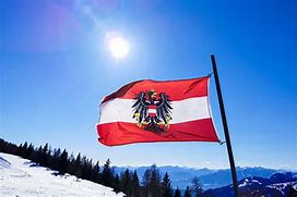 Image result for Austrian Flag