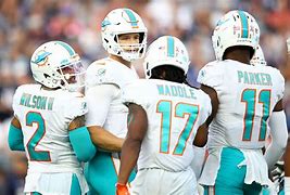 Image result for Miami Dolphins Beat Patriots