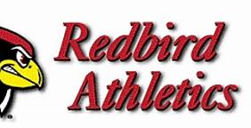 Image result for Allentown Redbirds Logo