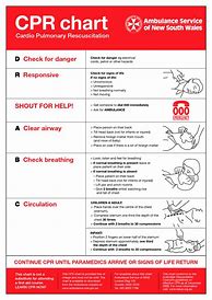 Image result for Infant CPR Print Out