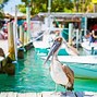 Image result for Best Places to Visit in Florida