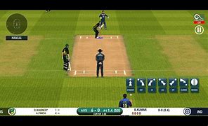 Image result for Black Series Wicket