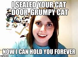 Image result for You Cat Hold Meme