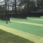 Image result for Part of a Cricket Wicket