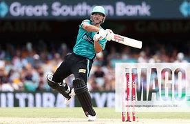Image result for Cricket in Heat