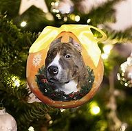 Image result for Pit Bull Christmas Ornament