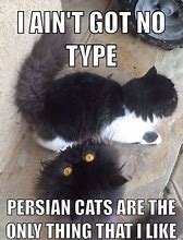 Image result for Cat Persia Meme