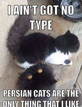 Image result for Persoian Cat Meme