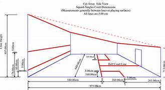 Image result for Dimentions of a Squash Court