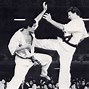 Image result for Kyokushin Karate Pics