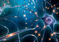 Image result for Neurons Universe