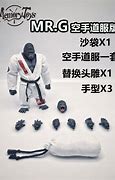 Image result for Chimpanzee in a Karate Outfit