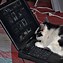 Image result for Funny Computer RAM