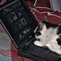 Image result for Funny Stock Images of a Computer