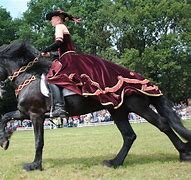 Image result for Friesian Horse Show