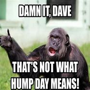 Image result for Hump Day Meme with Sound