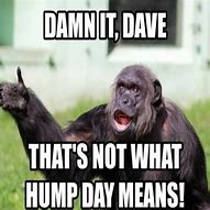 Image result for It's Funny Hump Day Meme