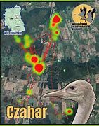 Image result for czahar
