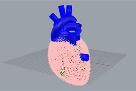 Image result for 3D Printing Human Body