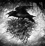 Image result for Ravens Dark Gothic Backgrounds