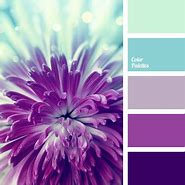Image result for Colors That Match Teal