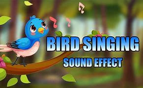 Image result for Bird Sound Effect