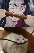 Image result for Standing Cat Meme Nezuko