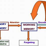 Image result for Three Types of Memory