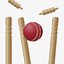 Image result for Cricket Ball Burger Clip Art