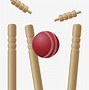 Image result for Cricket Art PNG