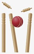 Image result for Cricket Single Wicket Stumps