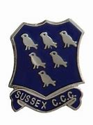 Image result for County Cricket Badges Mug