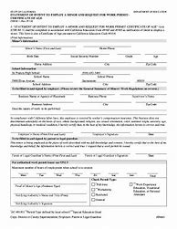 Image result for Us Work Permit