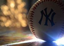Image result for New York Yankees Bat