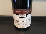 Image result for Thierry Violot Guillemard Bourgogne Cote d'Or Dieu