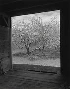 Image result for People Named Winesap