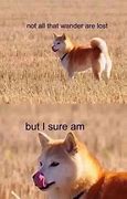 Image result for Heckin Doggo Meme