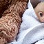 Image result for Cute Baby Animals Sloth