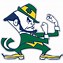 Image result for Notre Dame Football Wallpaper Cool