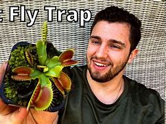 Image result for In 2 Care Mosquito Trap