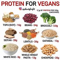 Image result for Protein-Rich Foods for Vegetarians