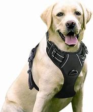 Image result for Dog Chest Harness for Pulling