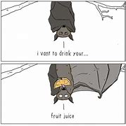 Image result for A Fruit Bat Pun