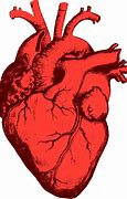 Image result for Anatomical Heart Pixel Art