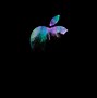 Image result for MacBook Pro 14 Wallpaper 4K