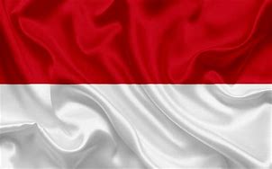 Image result for Monaco Flag