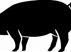 Image result for PNG Pig On a Phone