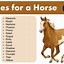 Image result for Cute Black Horse Names
